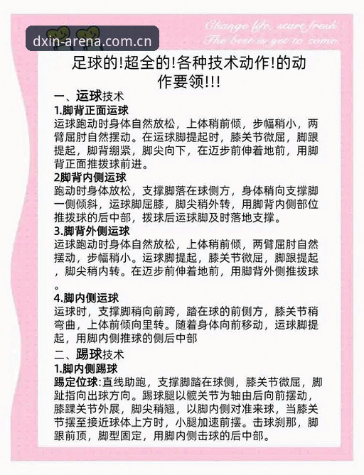 德信体育使用教程评测 德信体育平台实用指南:从入门到精通的全方位操作评测